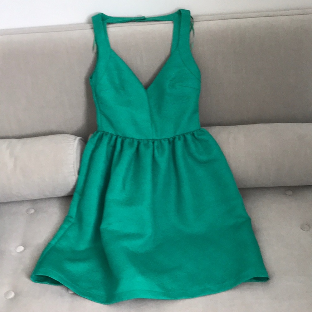 Zara Trafaluc mini dress